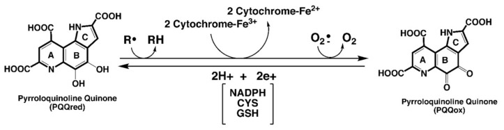 包含圖片、插圖等的外部文件。
對象名稱為 biomolecules-11-01441-g001.jpg