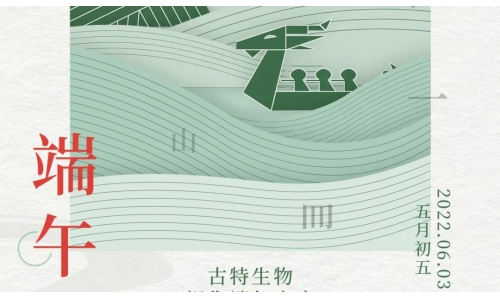 端午 - 爭流而上，行舟踏浪