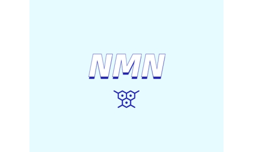 NMN對人體有什么潛在效果？